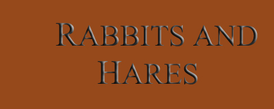 Rabbits and Hares