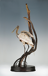 Spoonbill - Mixed Media